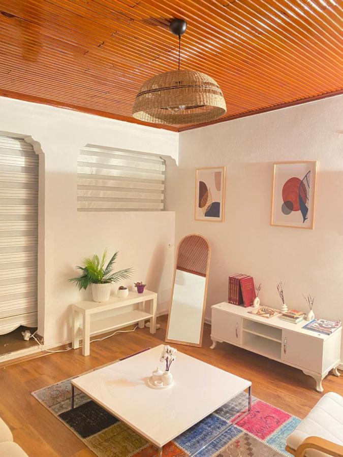 Apartment Stylish 2 Bedrooms 1 Lounge Flat In Kadikoey